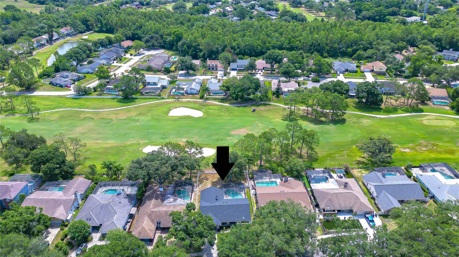 16605 Course, Tampa, FL 33624