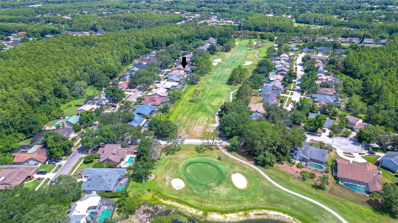 16605 Course, Tampa, FL 33624