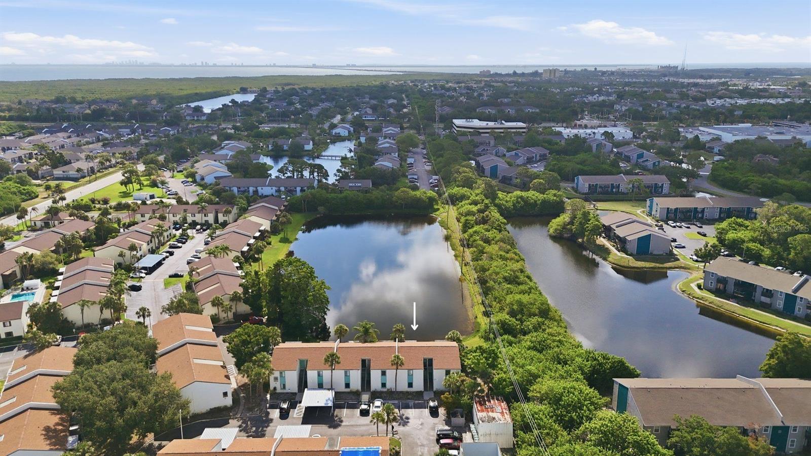 11409 8th Unit 1509, St Petersburg, FL 33716