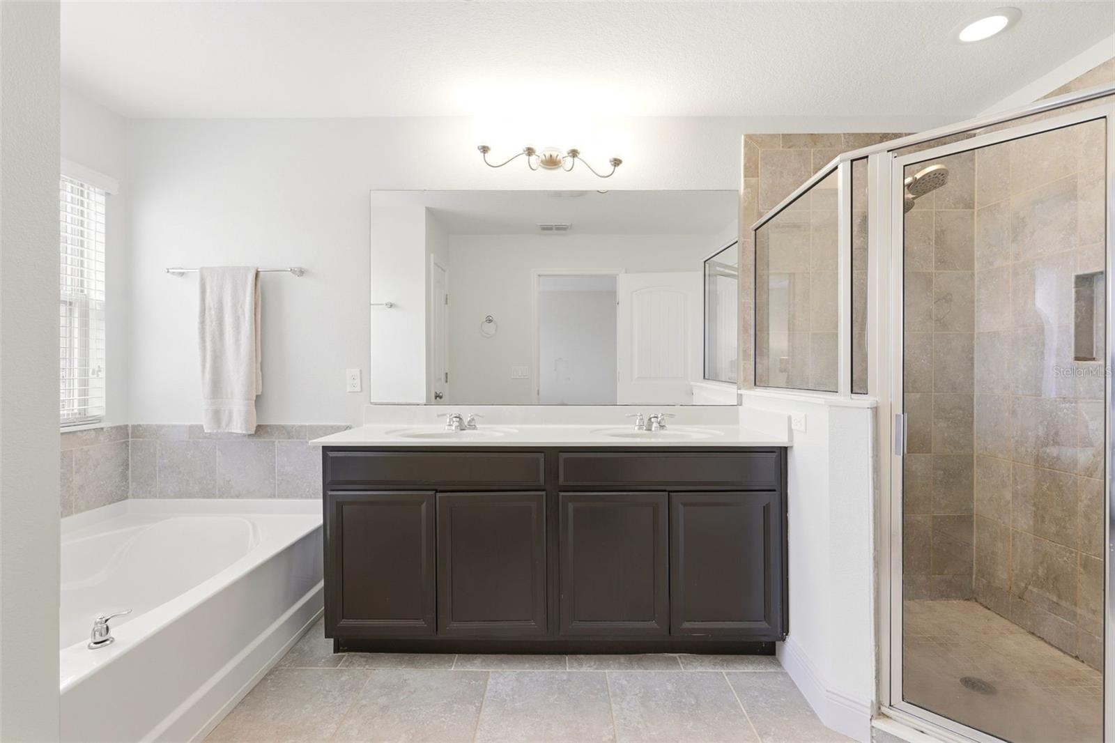 10558 Green Ivy, Orlando, FL 32832