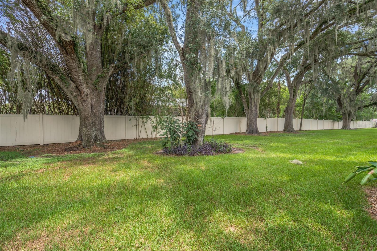 2958 Royal Tuscan, Valrico, FL 33594
