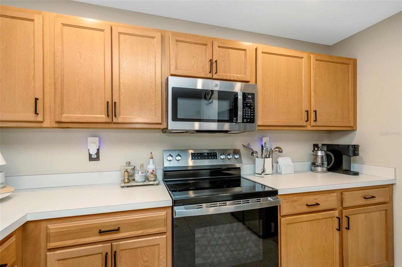 2958 Royal Tuscan, Valrico, FL 33594