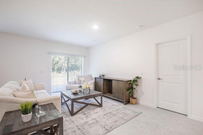 TBD Lime Tree, Edgewater, FL 32132