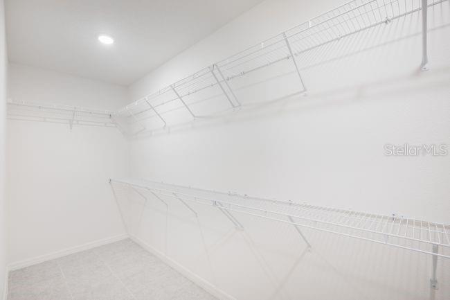 TBD Lime Tree, Edgewater, FL 32132