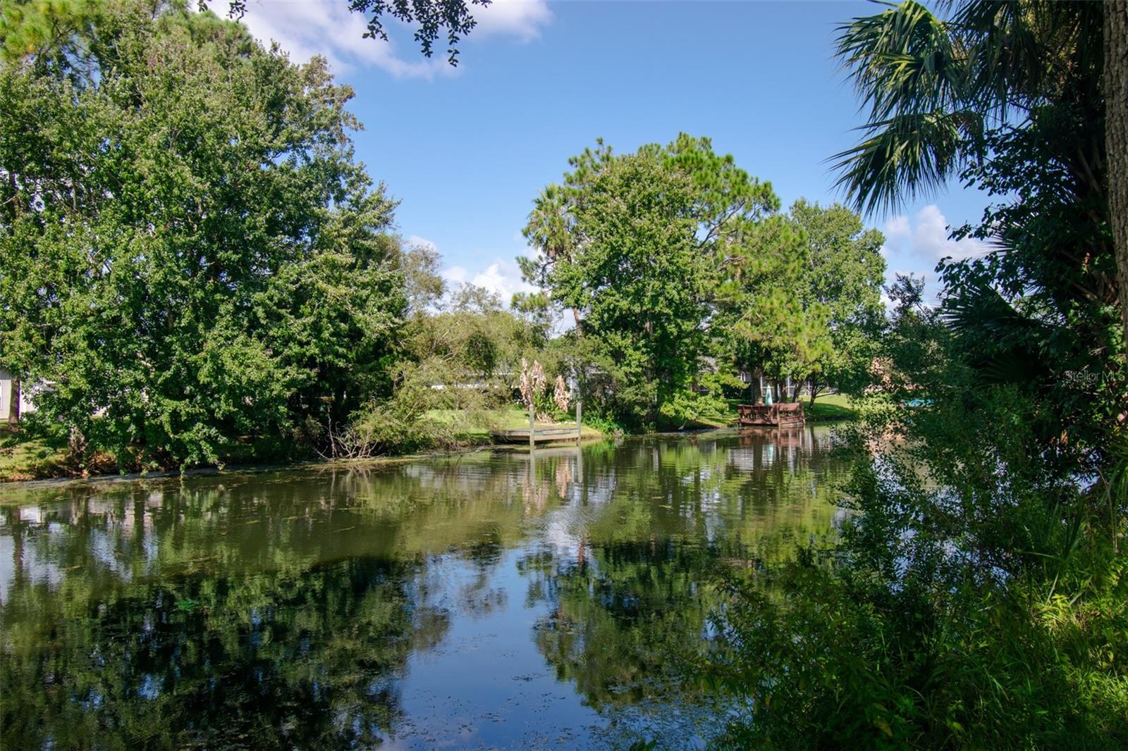 225 Birchwood, Palm Coast, FL 32137