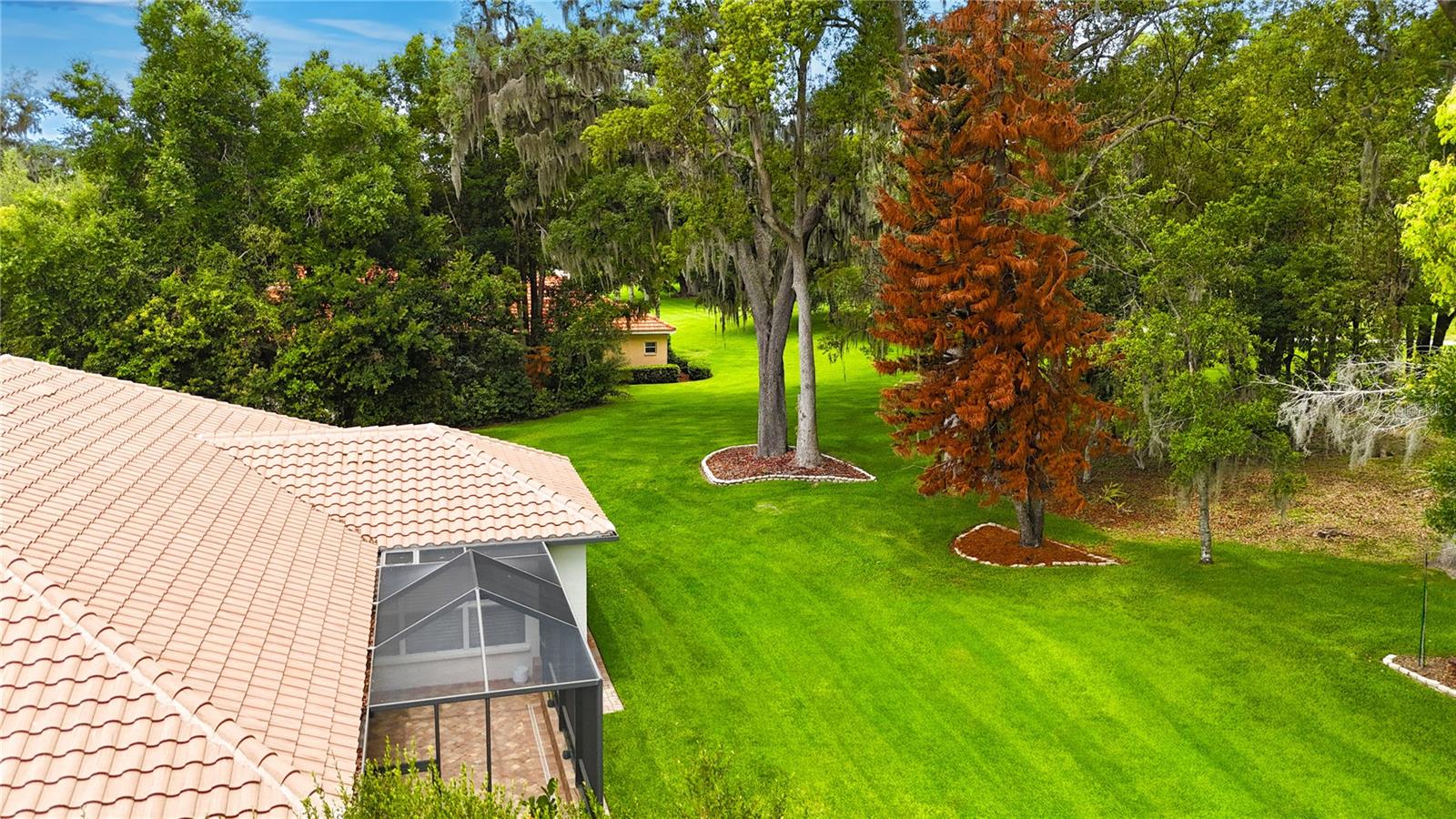 12649 Oak Hollow, Dade City, FL 33525
