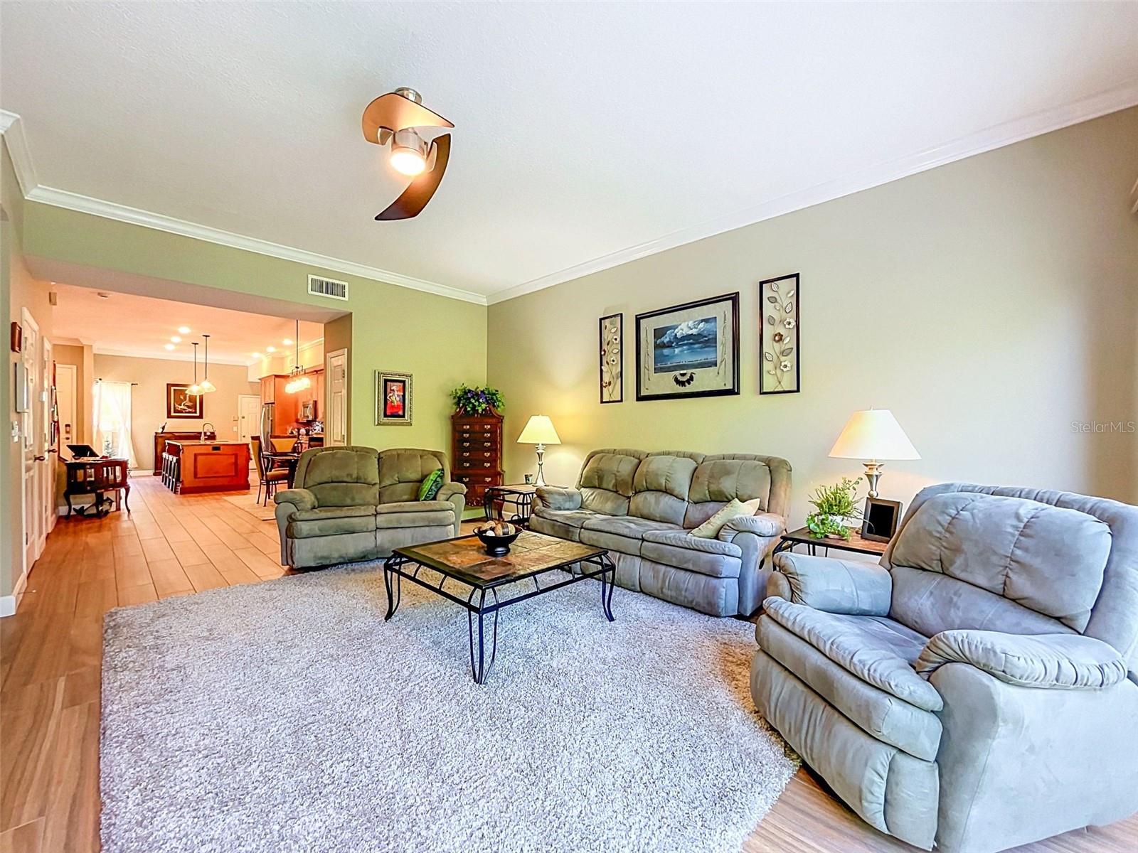 1722 Arabian, Palm Harbor, FL 34685