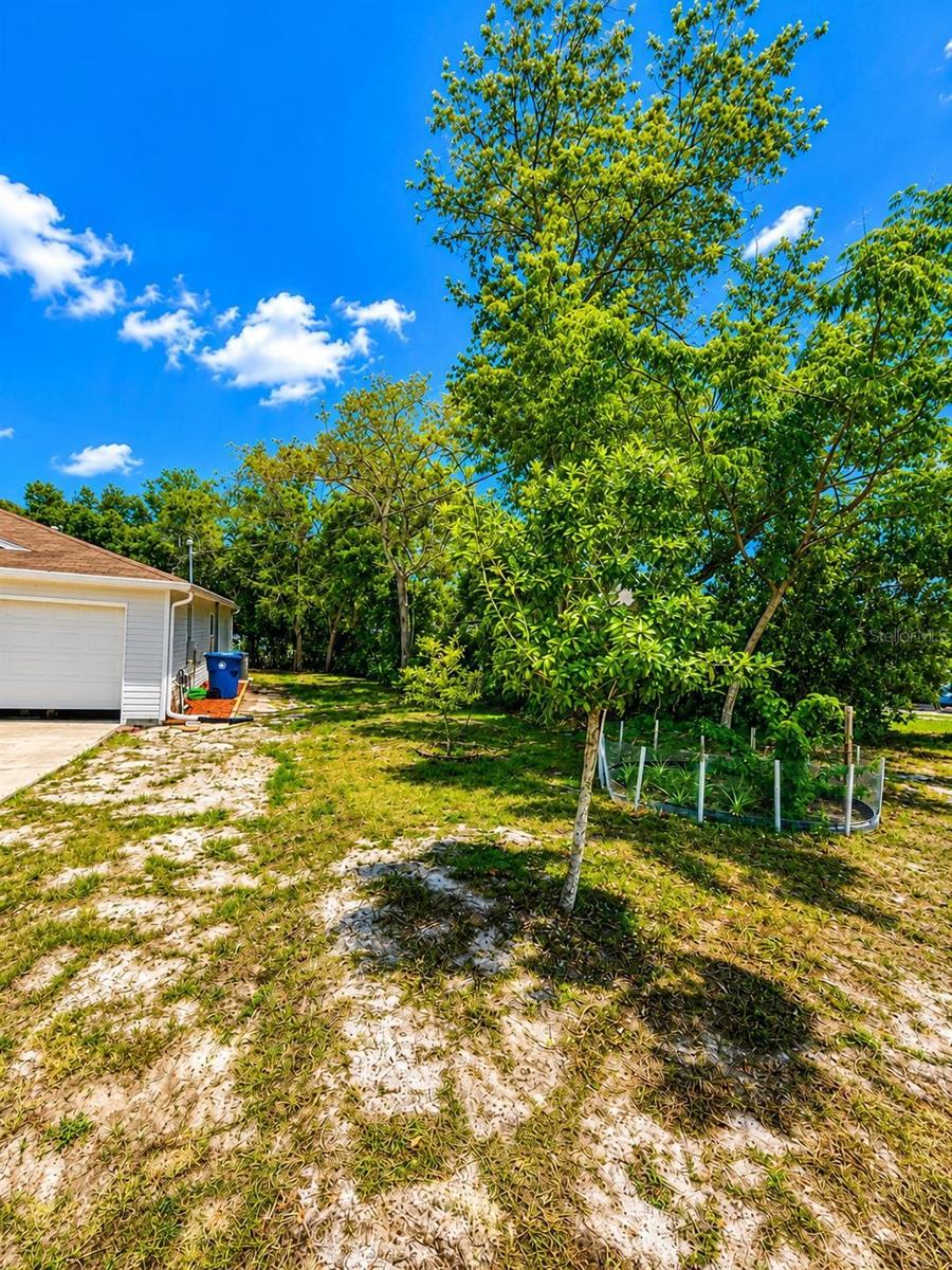 1490 Piper, Spring Hill, FL 34606