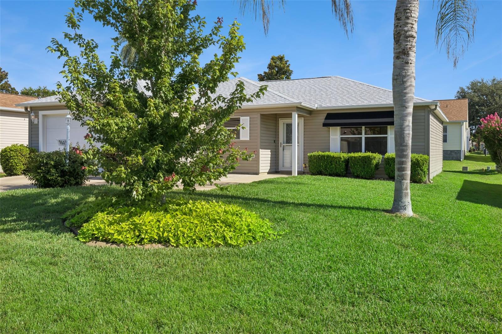 9603 171st Argyll, The Villages, FL 32162