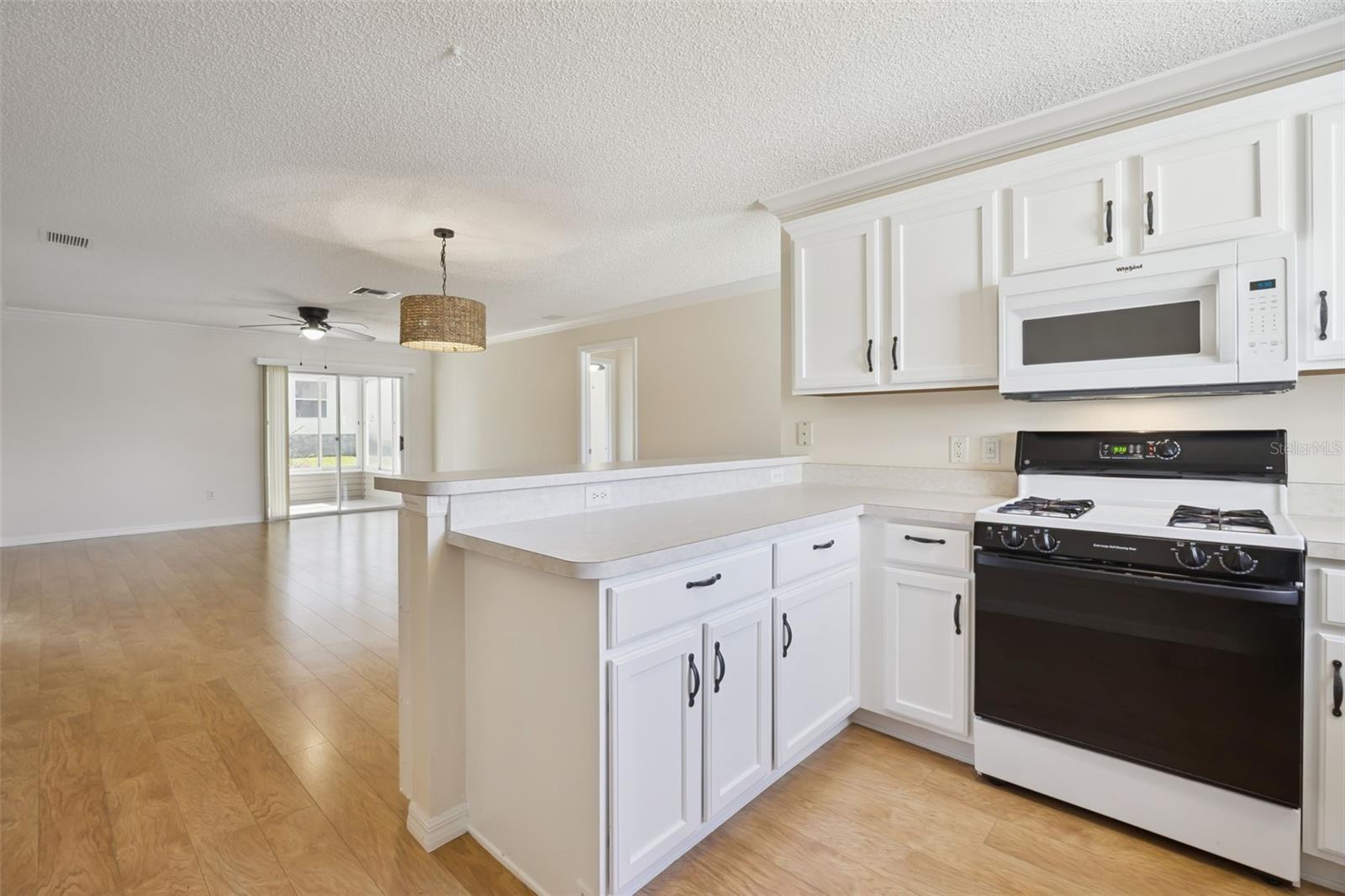 9603 171st Argyll, The Villages, FL 32162