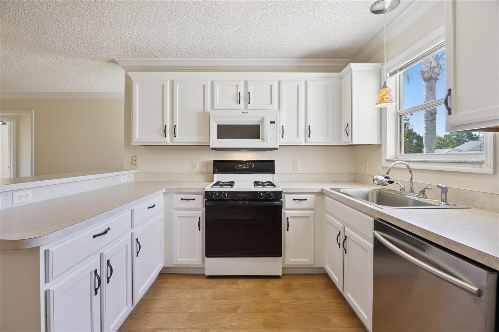 9603 171st Argyll, The Villages, FL 32162