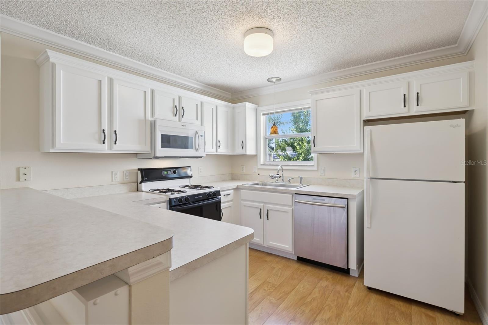 9603 171st Argyll, The Villages, FL 32162