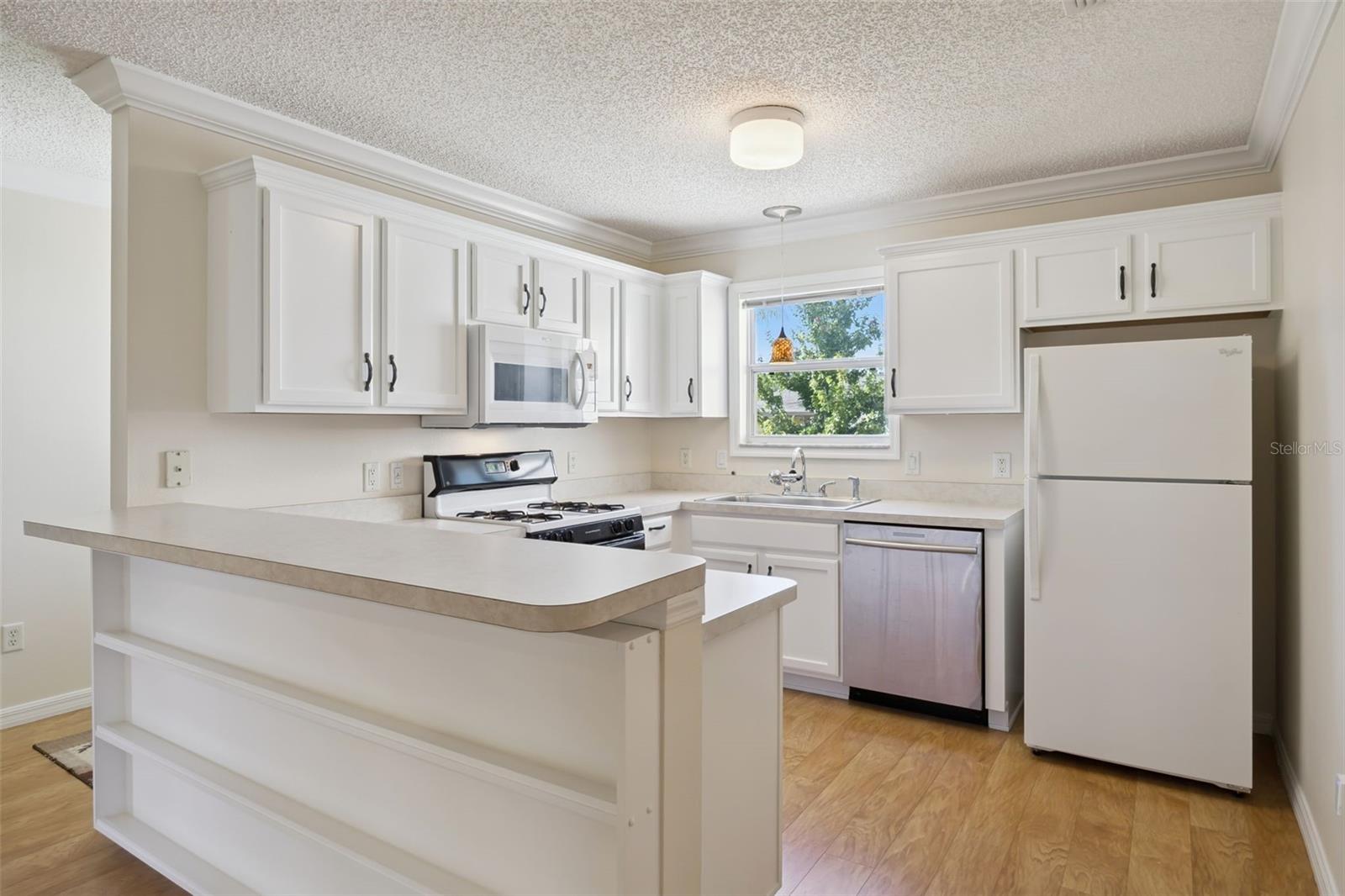 9603 171st Argyll, The Villages, FL 32162