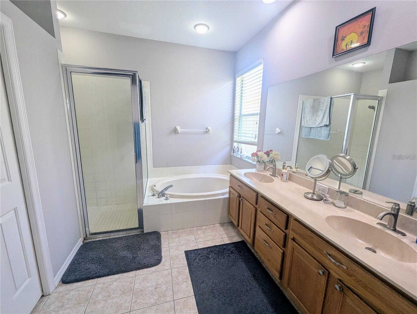 11236 Blacksmith, Tampa, FL 33626