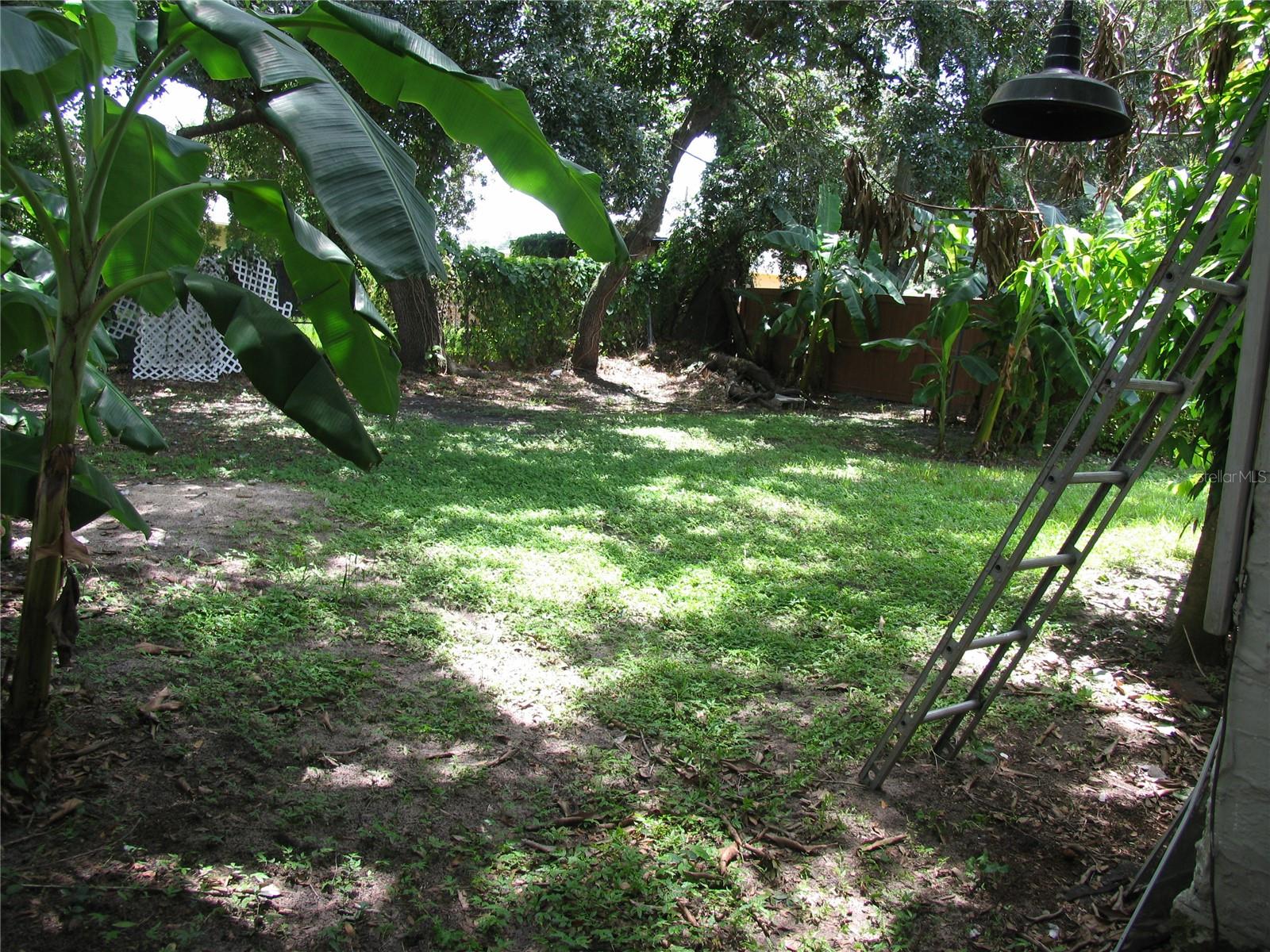 323 Dover, Orlando, FL 32811