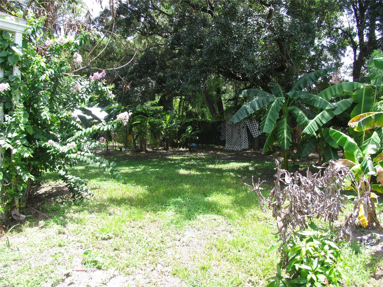 323 Dover, Orlando, FL 32811