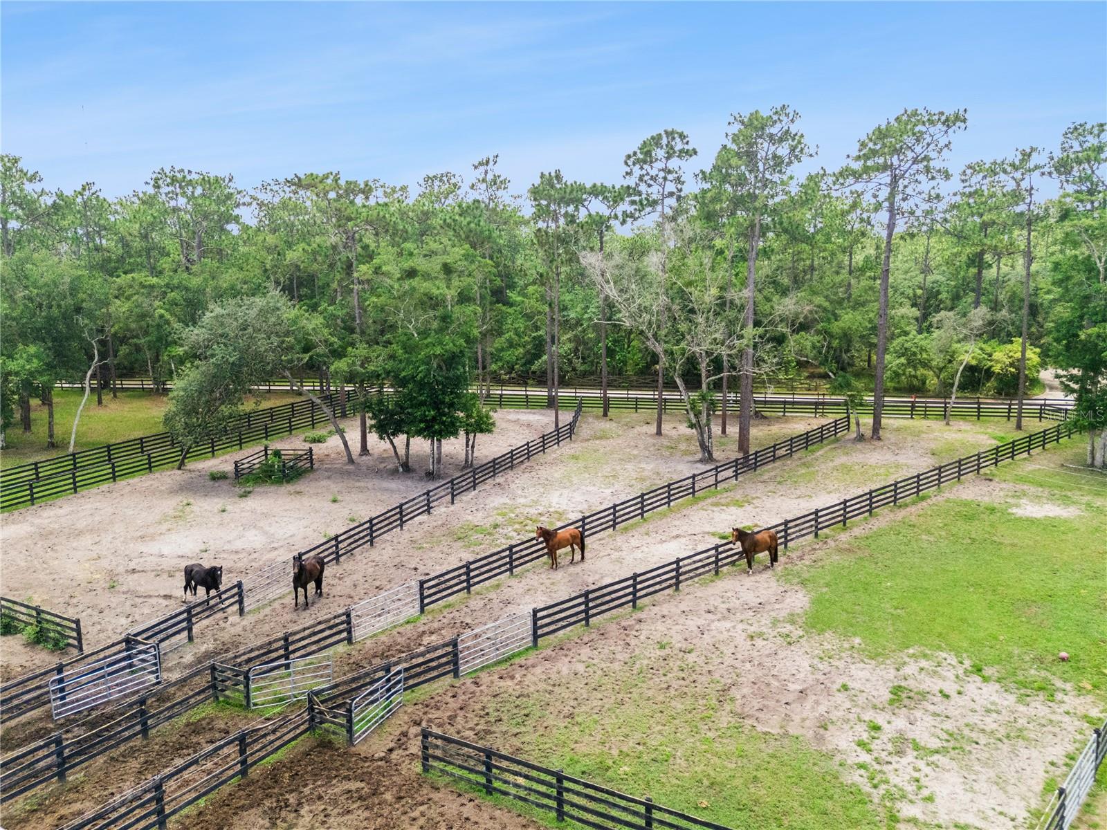 2370 Pine Meadows, Oviedo, FL 32766