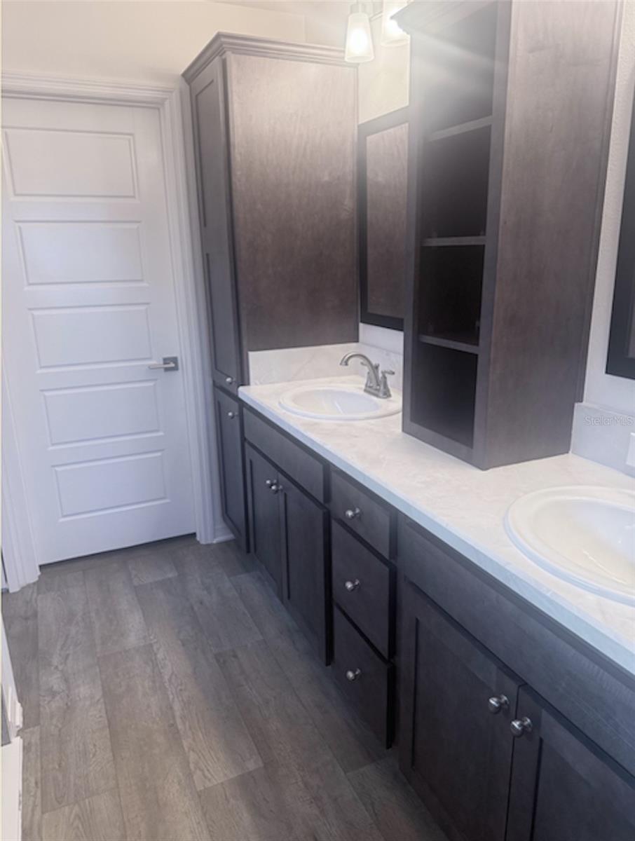 2790 Carytown, The Villages, FL 32163