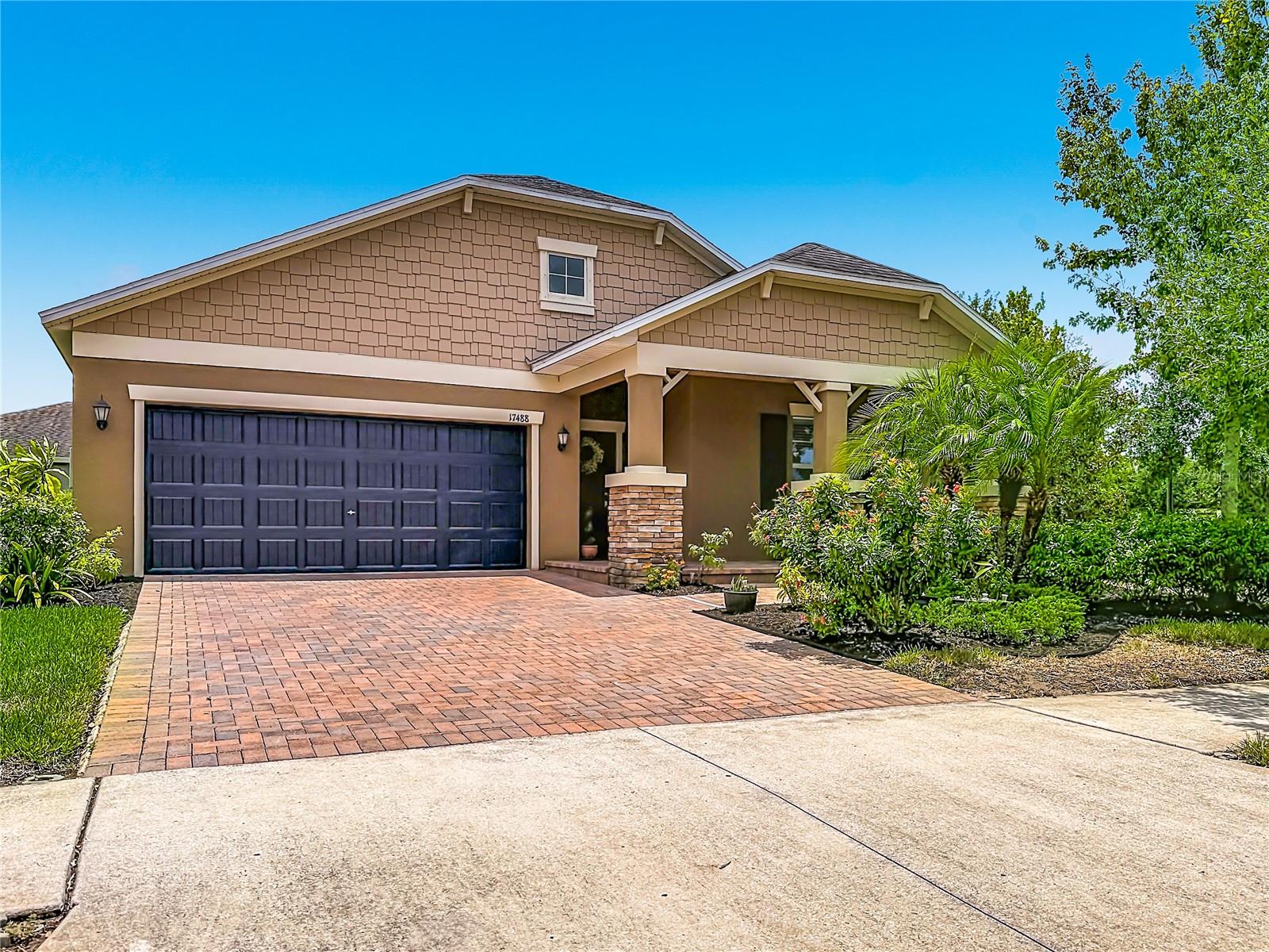 17488 Terrazzo, Land O Lakes, FL 34638