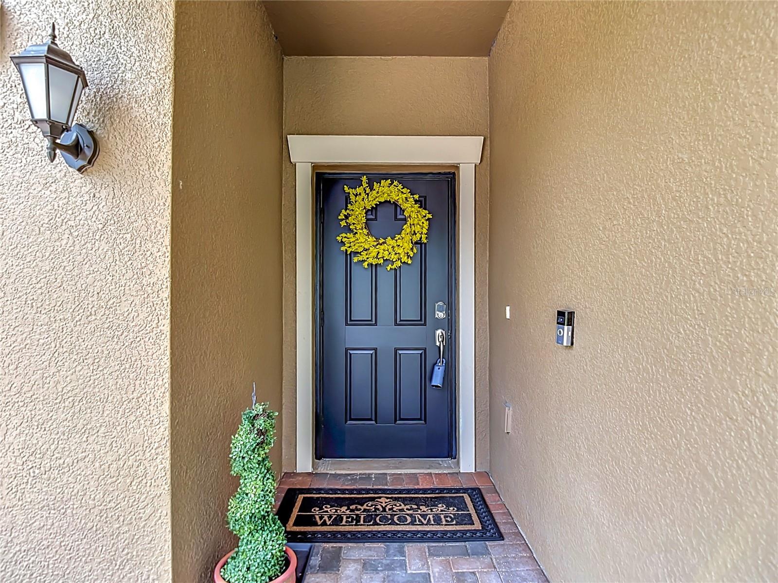 17488 Terrazzo, Land O Lakes, FL 34638