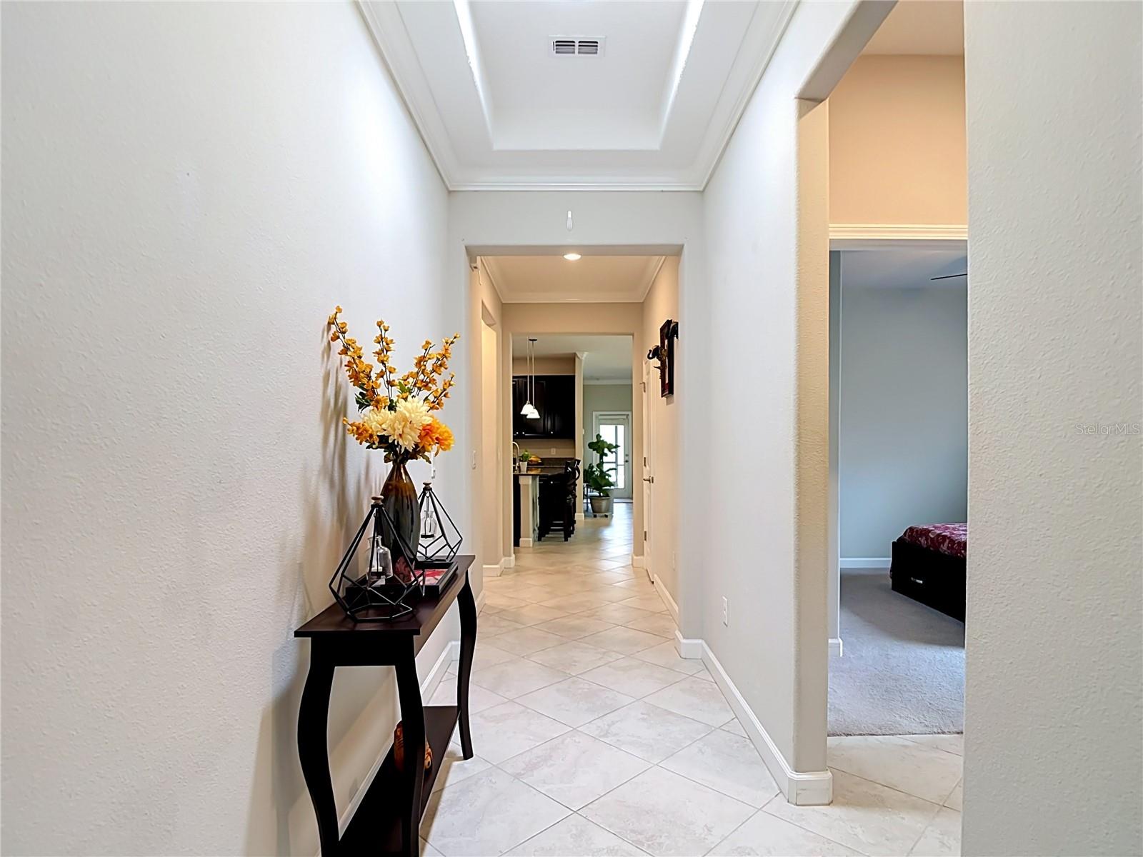 17488 Terrazzo, Land O Lakes, FL 34638