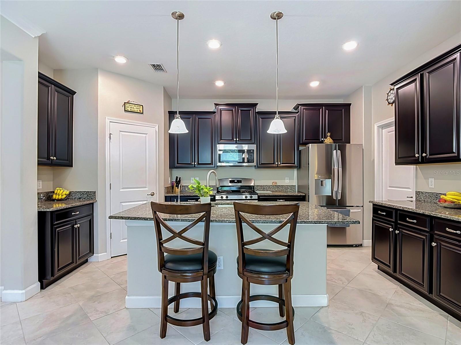 17488 Terrazzo, Land O Lakes, FL 34638