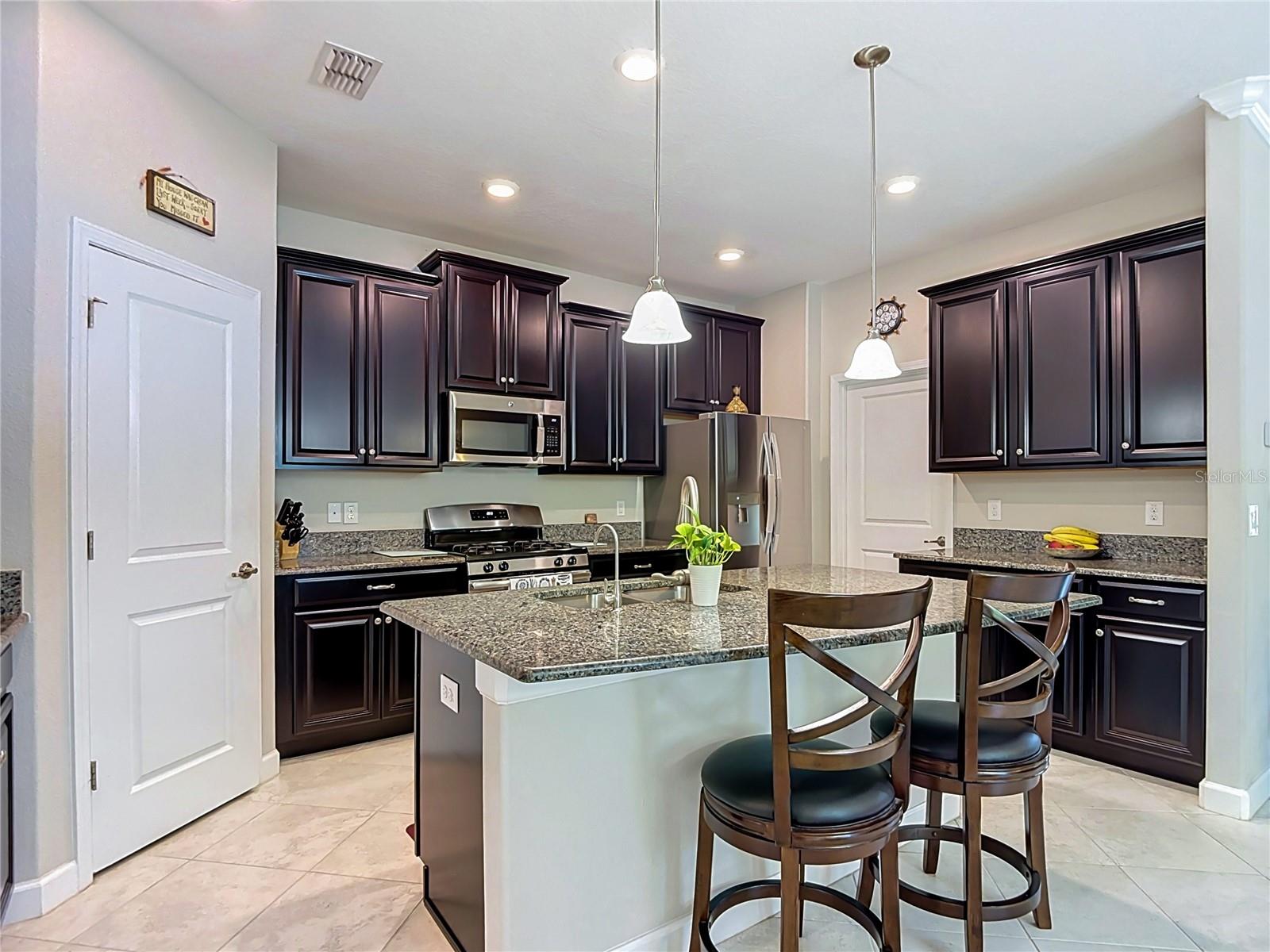 17488 Terrazzo, Land O Lakes, FL 34638