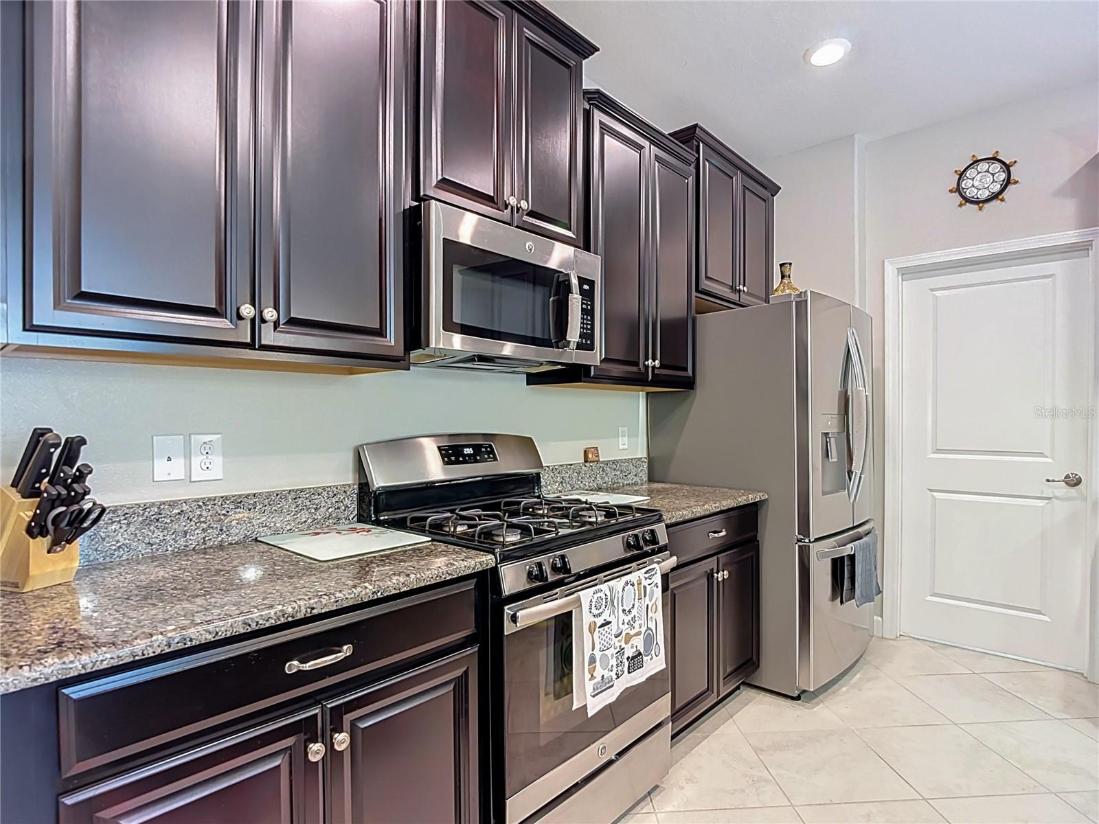 17488 Terrazzo, Land O Lakes, FL 34638