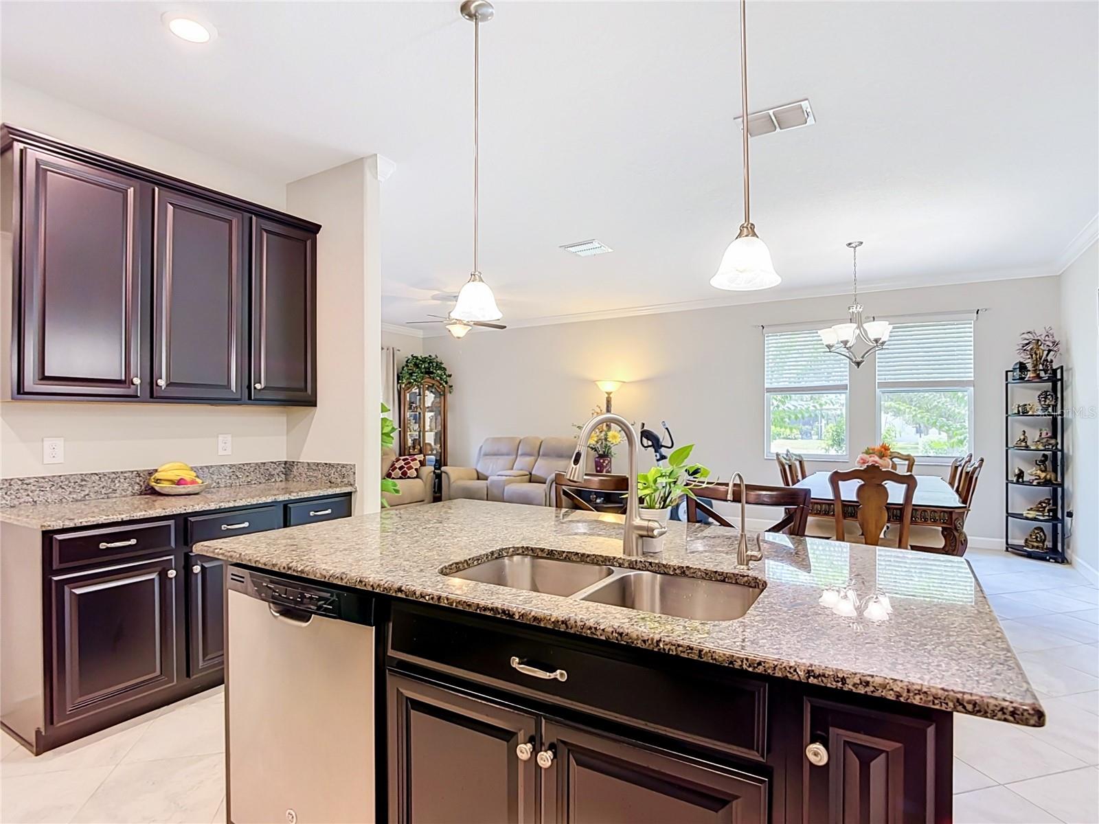 17488 Terrazzo, Land O Lakes, FL 34638