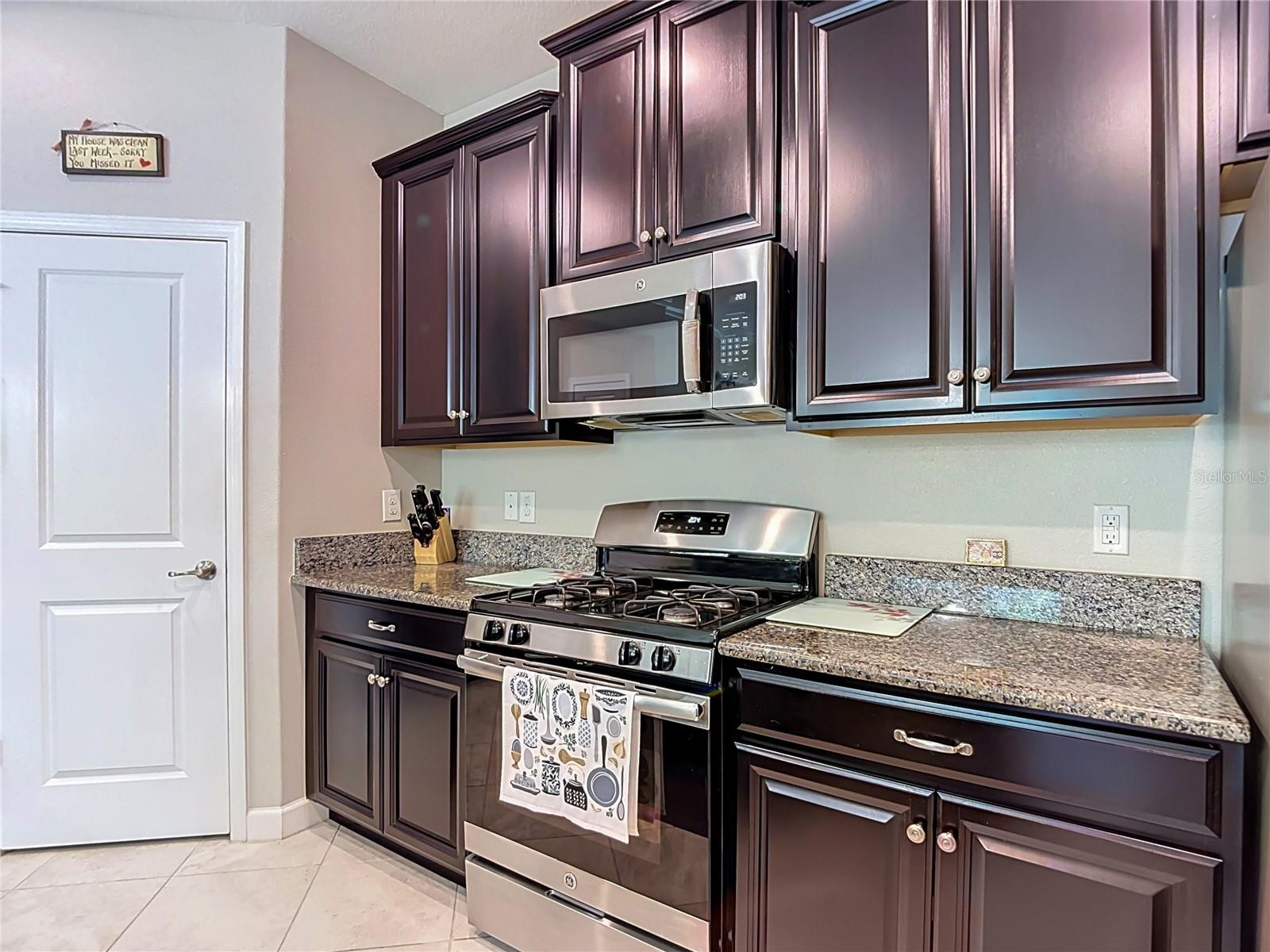 17488 Terrazzo, Land O Lakes, FL 34638
