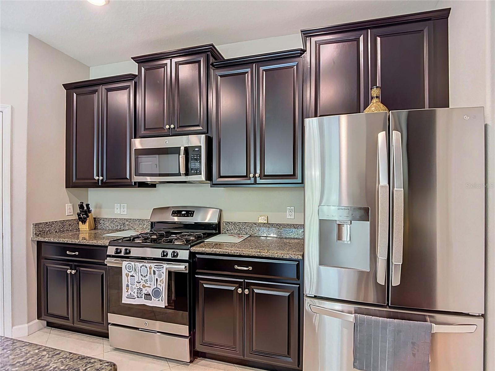 17488 Terrazzo, Land O Lakes, FL 34638