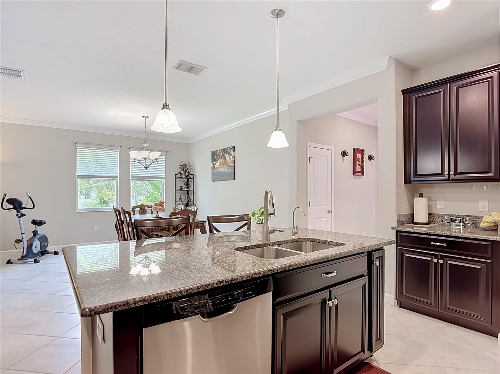 17488 Terrazzo, Land O Lakes, FL 34638
