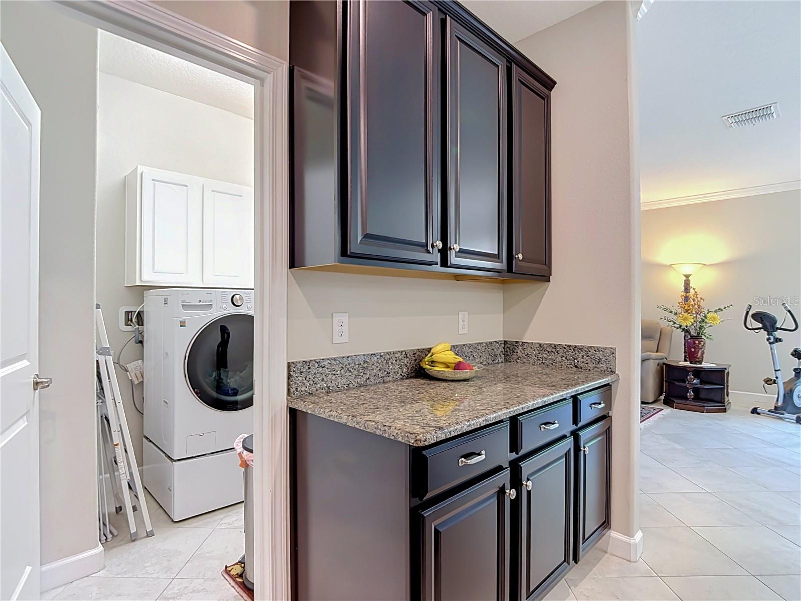 17488 Terrazzo, Land O Lakes, FL 34638