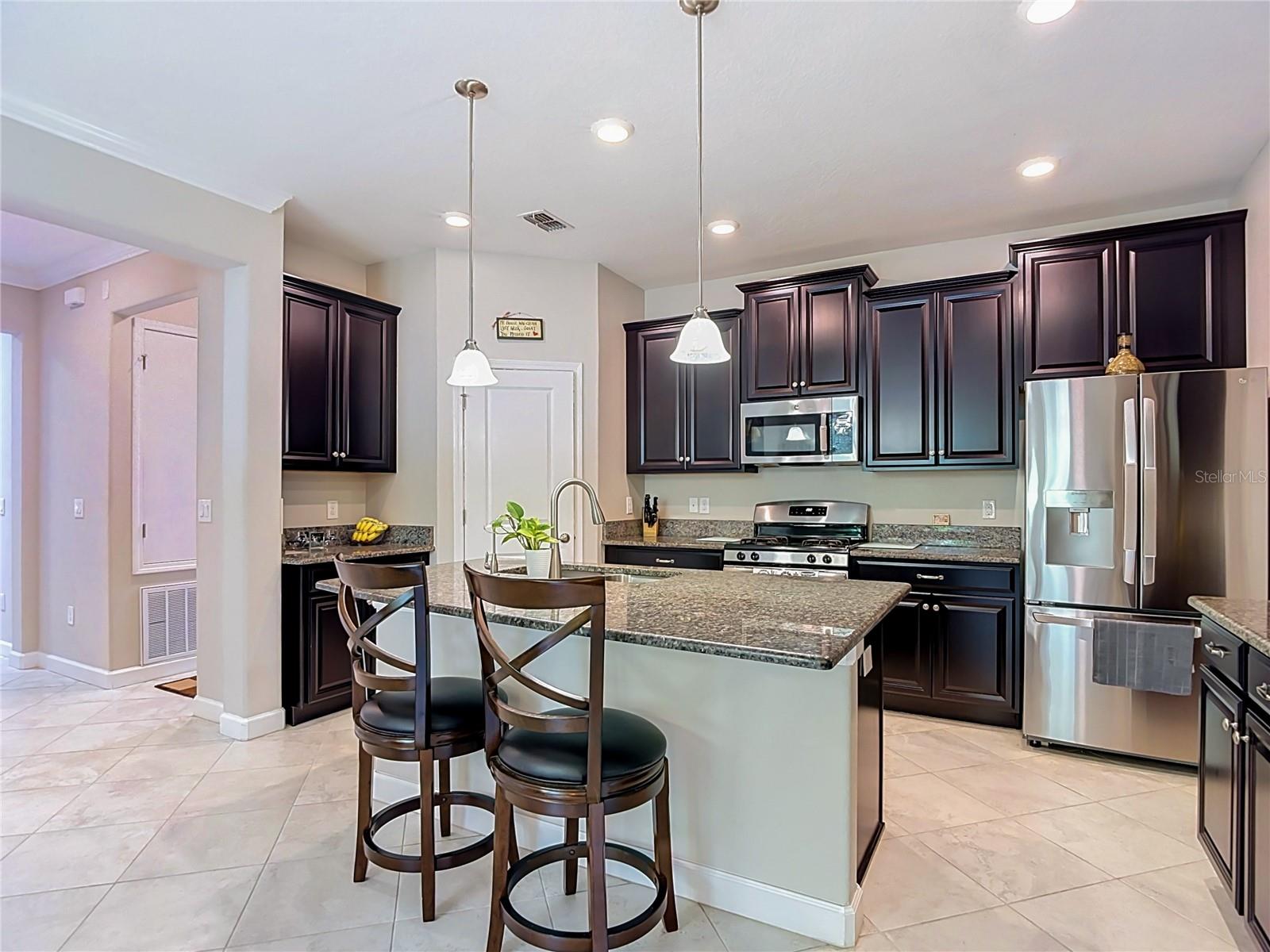 17488 Terrazzo, Land O Lakes, FL 34638