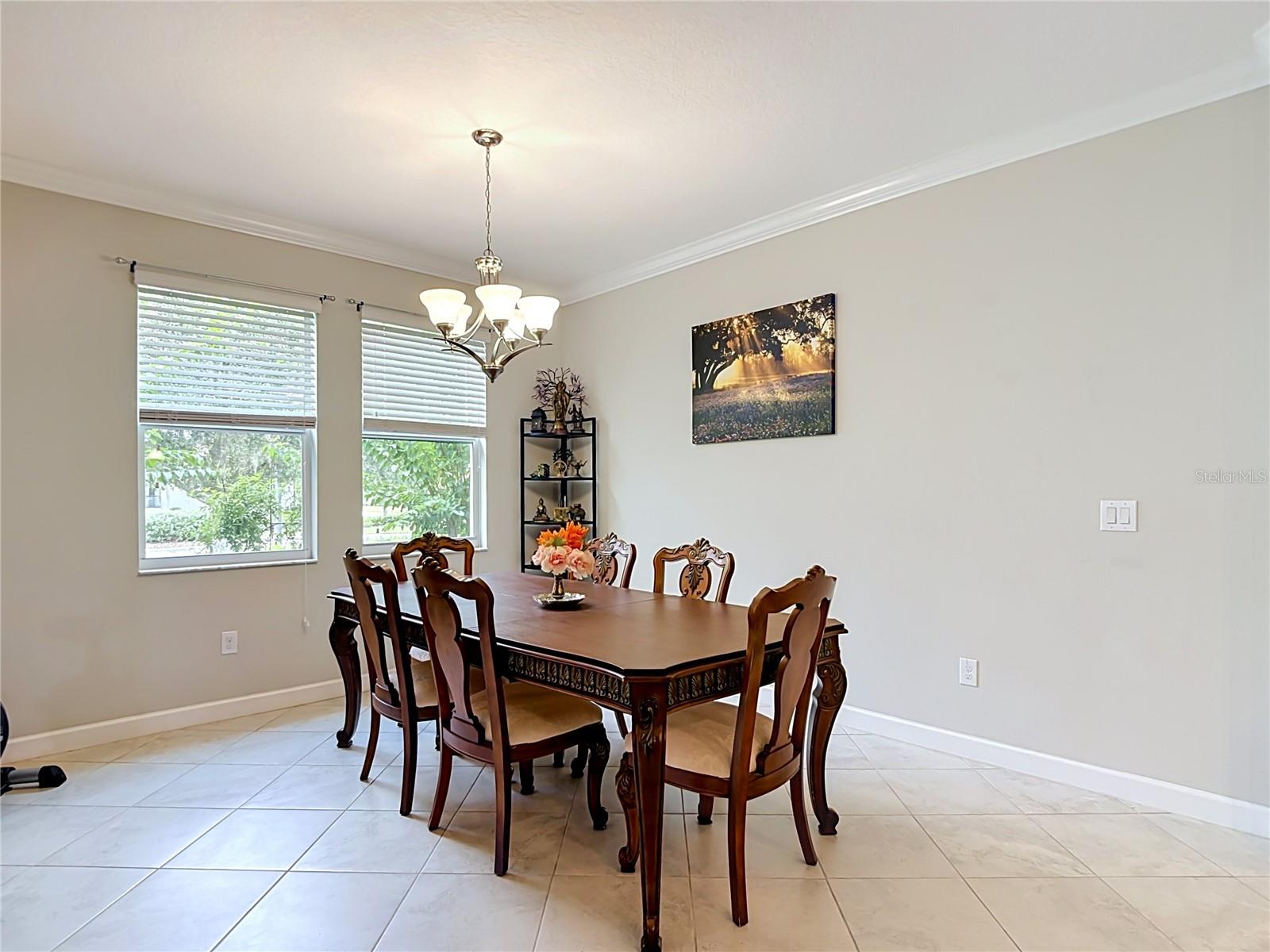 17488 Terrazzo, Land O Lakes, FL 34638