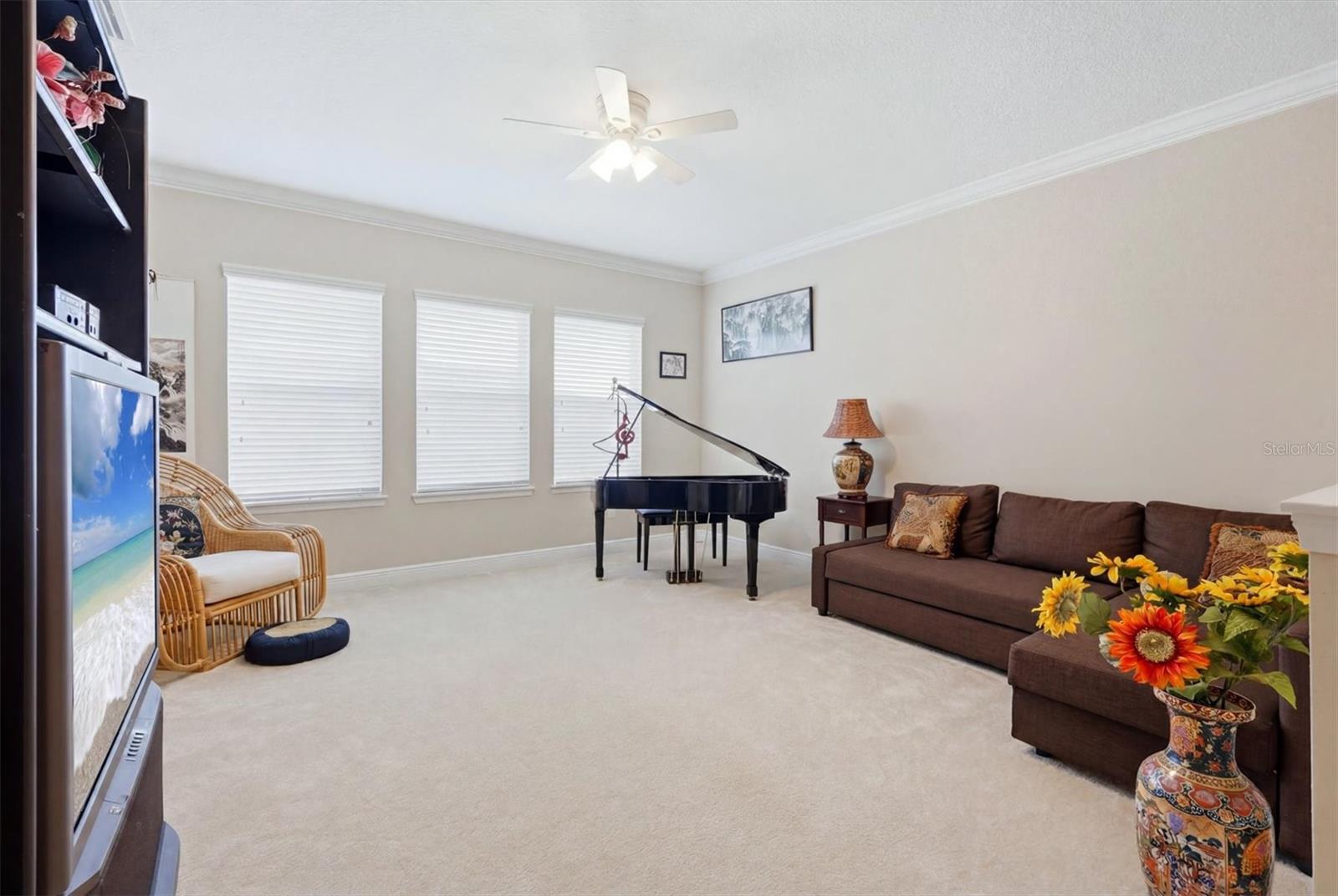 843 Molly, Sarasota, FL 34232