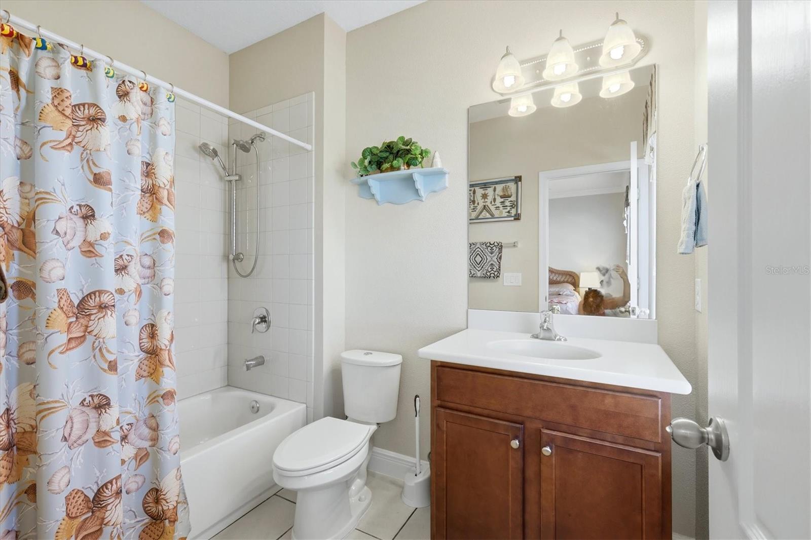 843 Molly, Sarasota, FL 34232