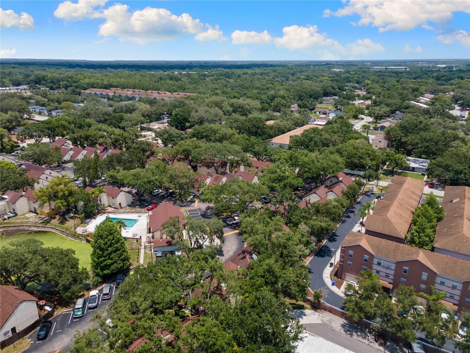 5641 Ashley Oaks Unit 37, Tampa, FL 33617