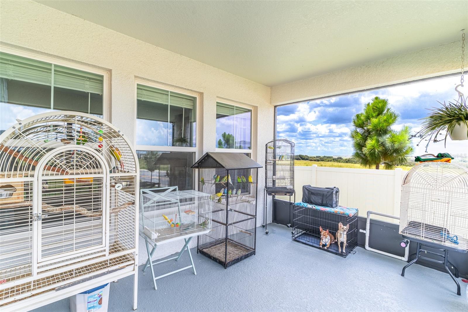3704 Dusty Miller, Haines City, FL 33844