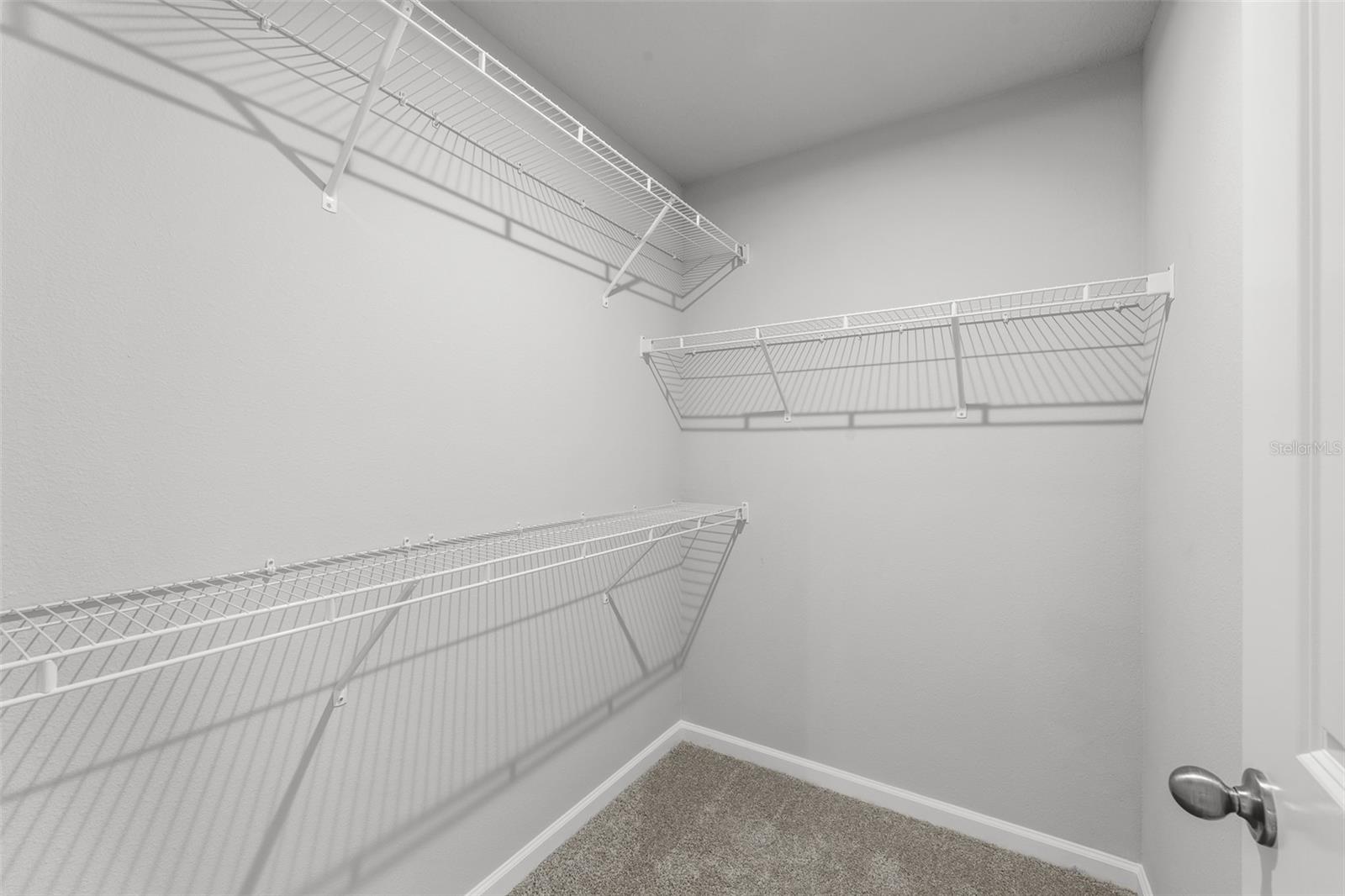 4366 Cloud Hopper, Lutz, FL 33559