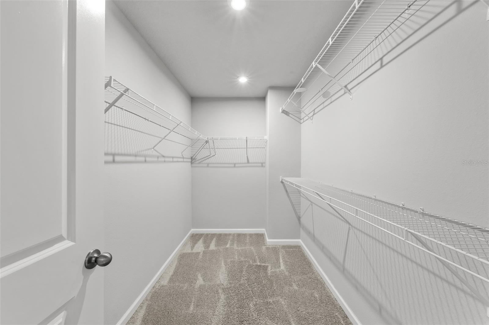 4366 Cloud Hopper, Lutz, FL 33559