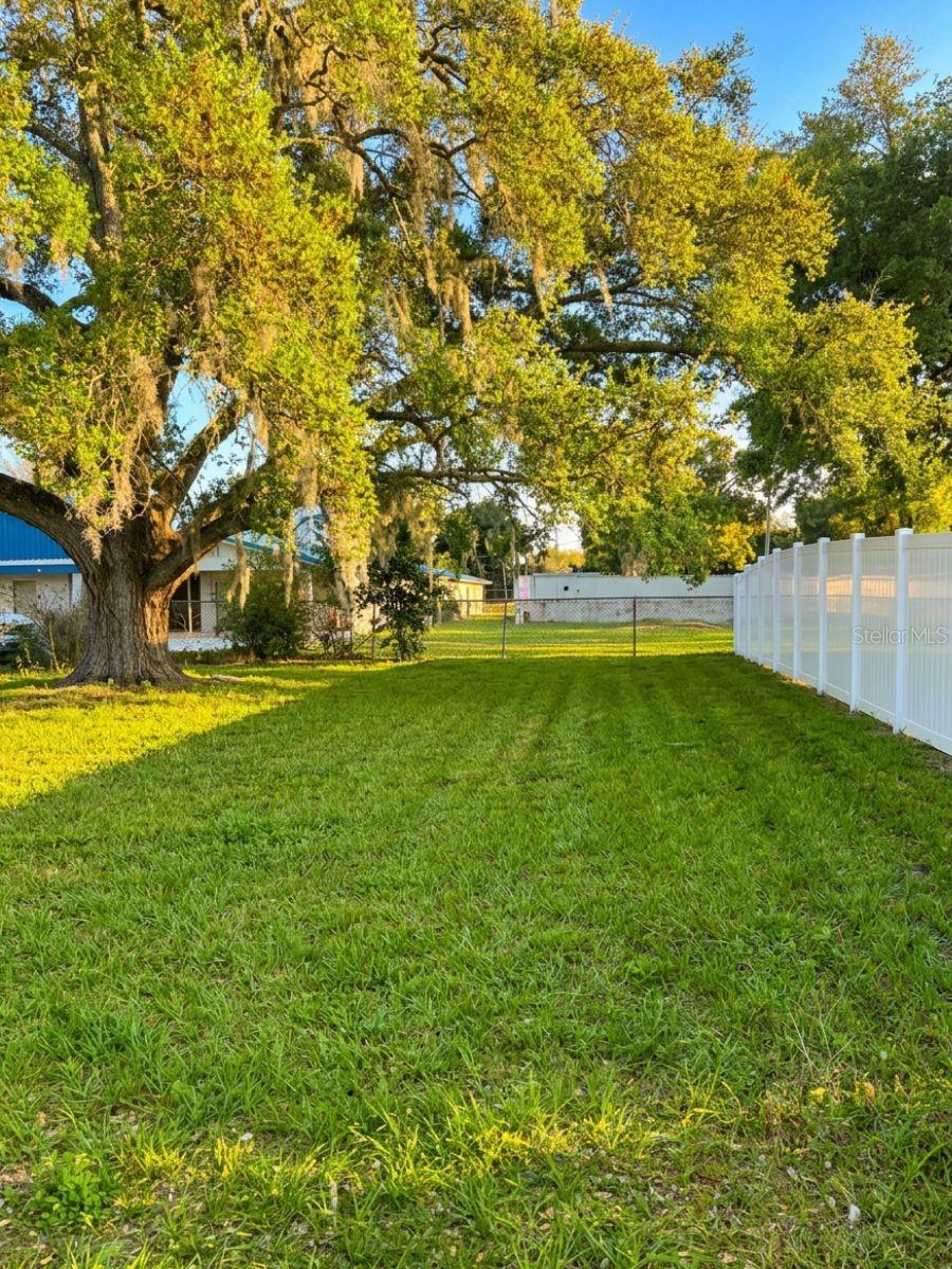 3420 Avenue R, Winter Haven, FL 33881