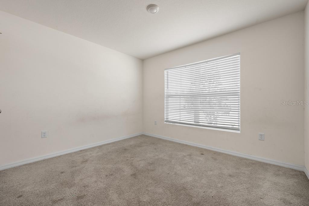 5280 Fiddle Fig, Wimauma, FL 33598