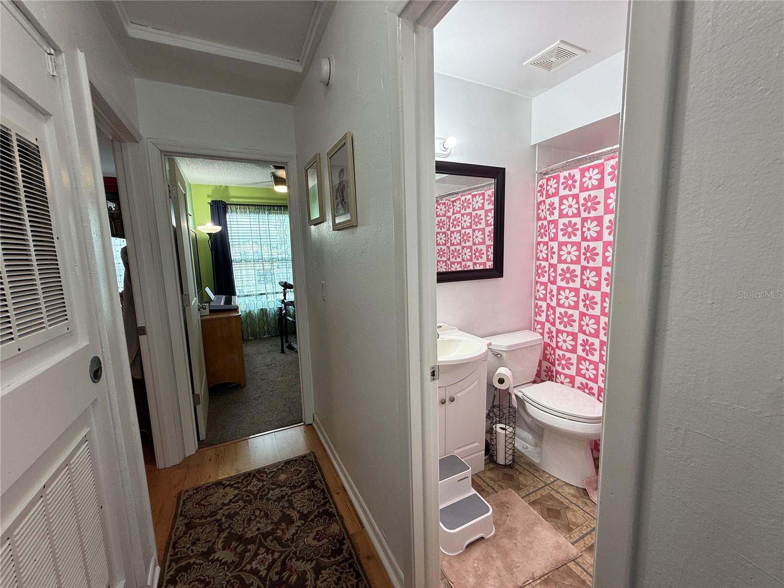 10009 Regal Woods, Tampa, FL 33624
