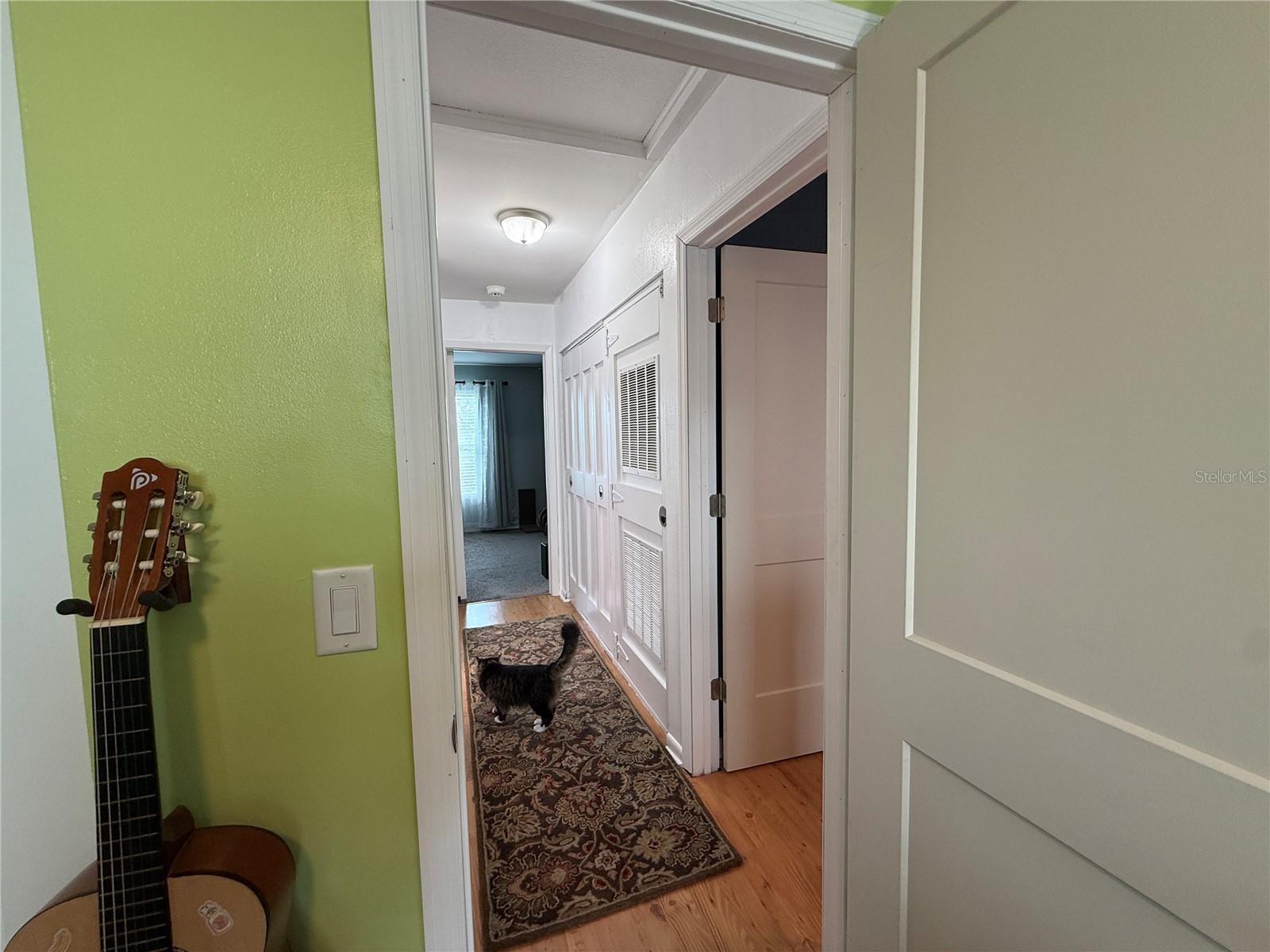 10009 Regal Woods, Tampa, FL 33624