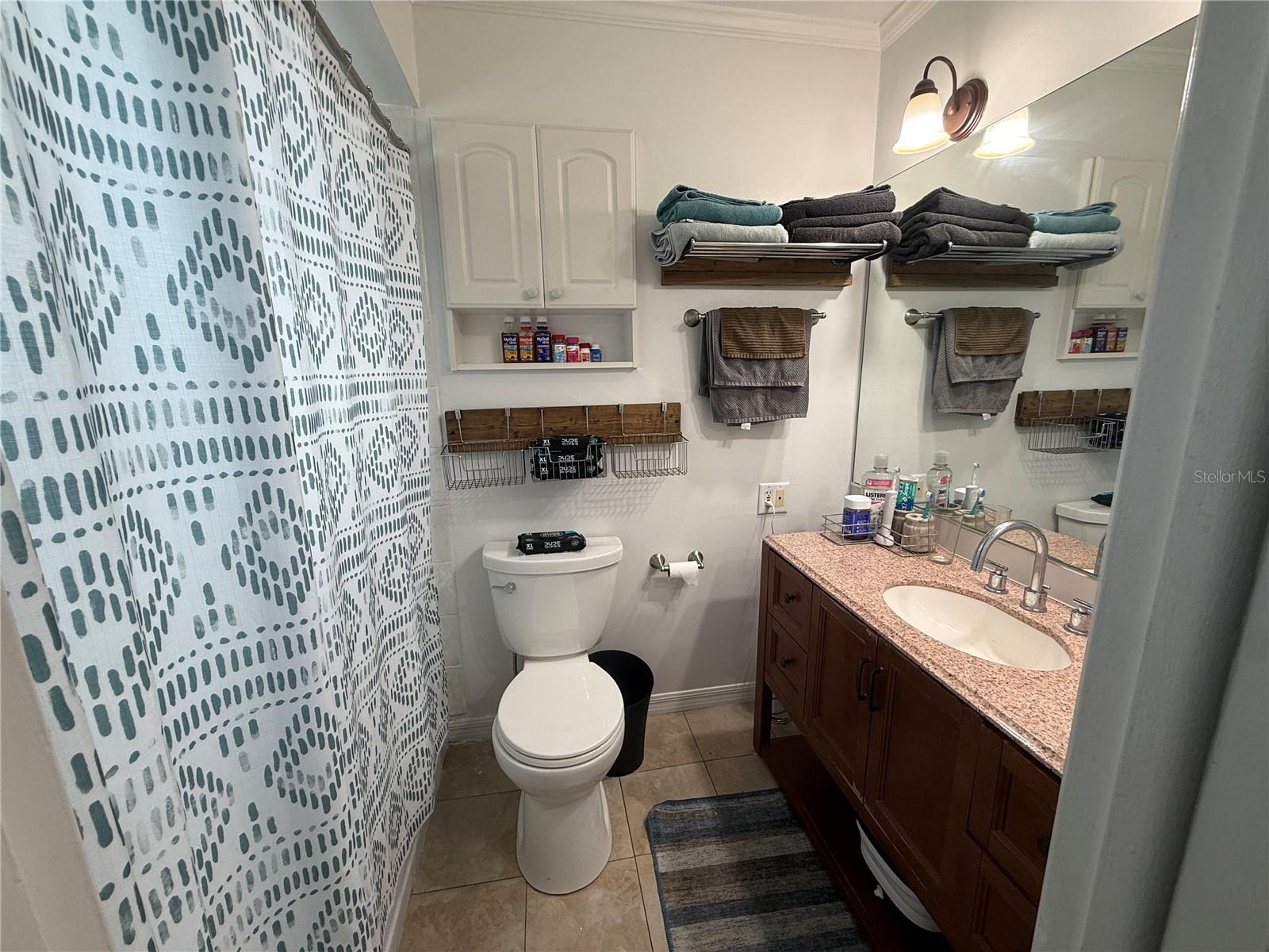 10009 Regal Woods, Tampa, FL 33624