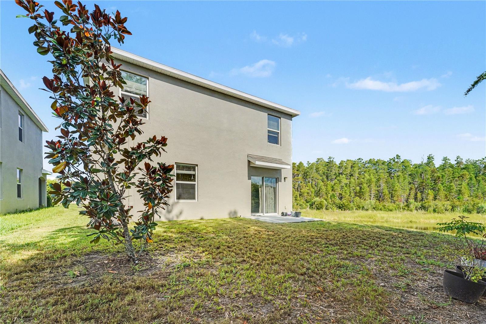 3446 Suncoast Plains, Odessa, FL 33556
