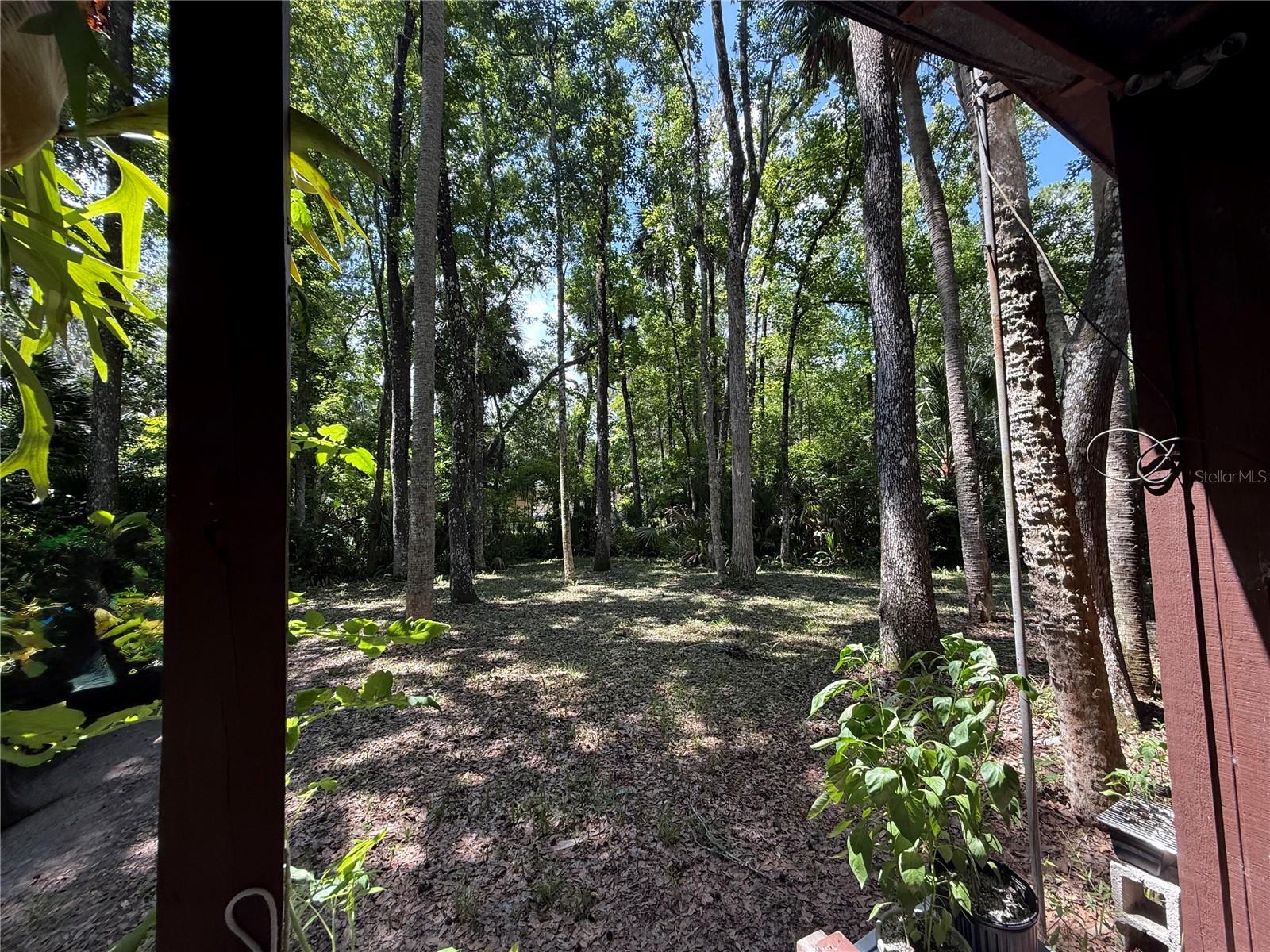 23946 Indigo, Astor, FL 32102