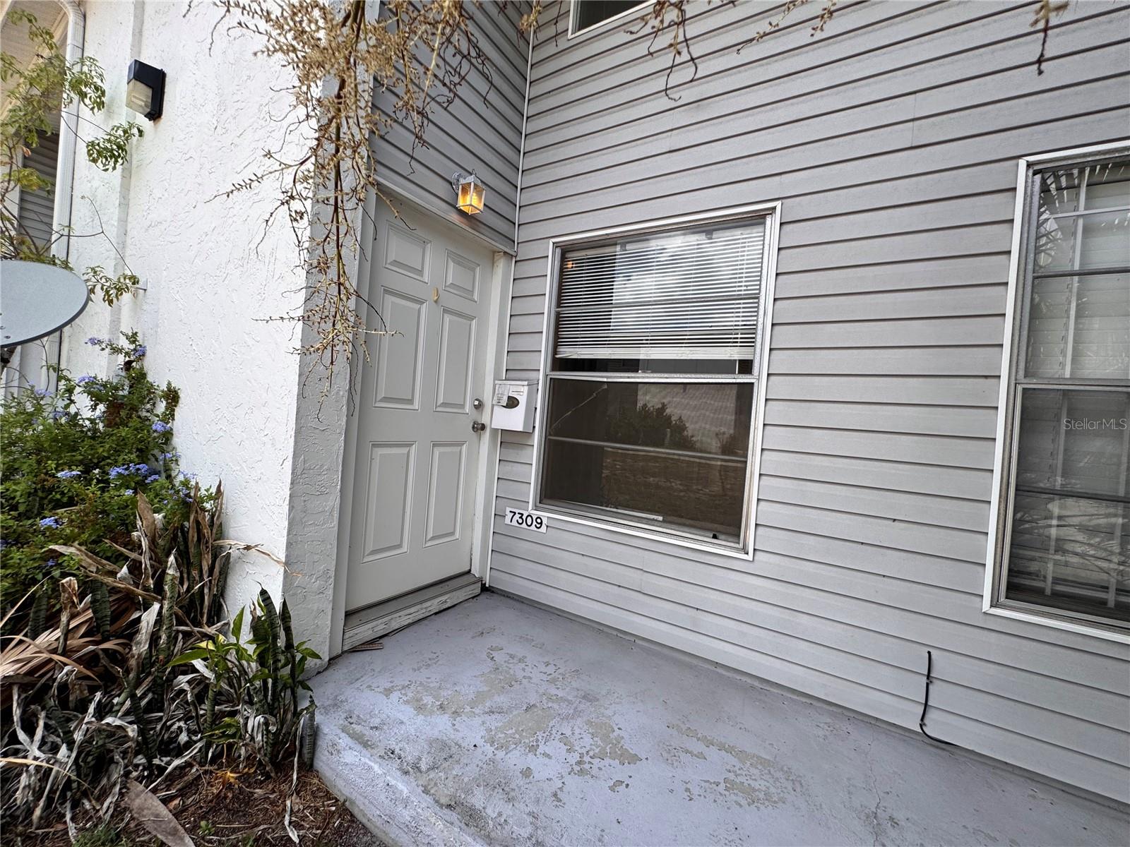 7309 Jackson Springs Unit 7309, Tampa, FL 33634