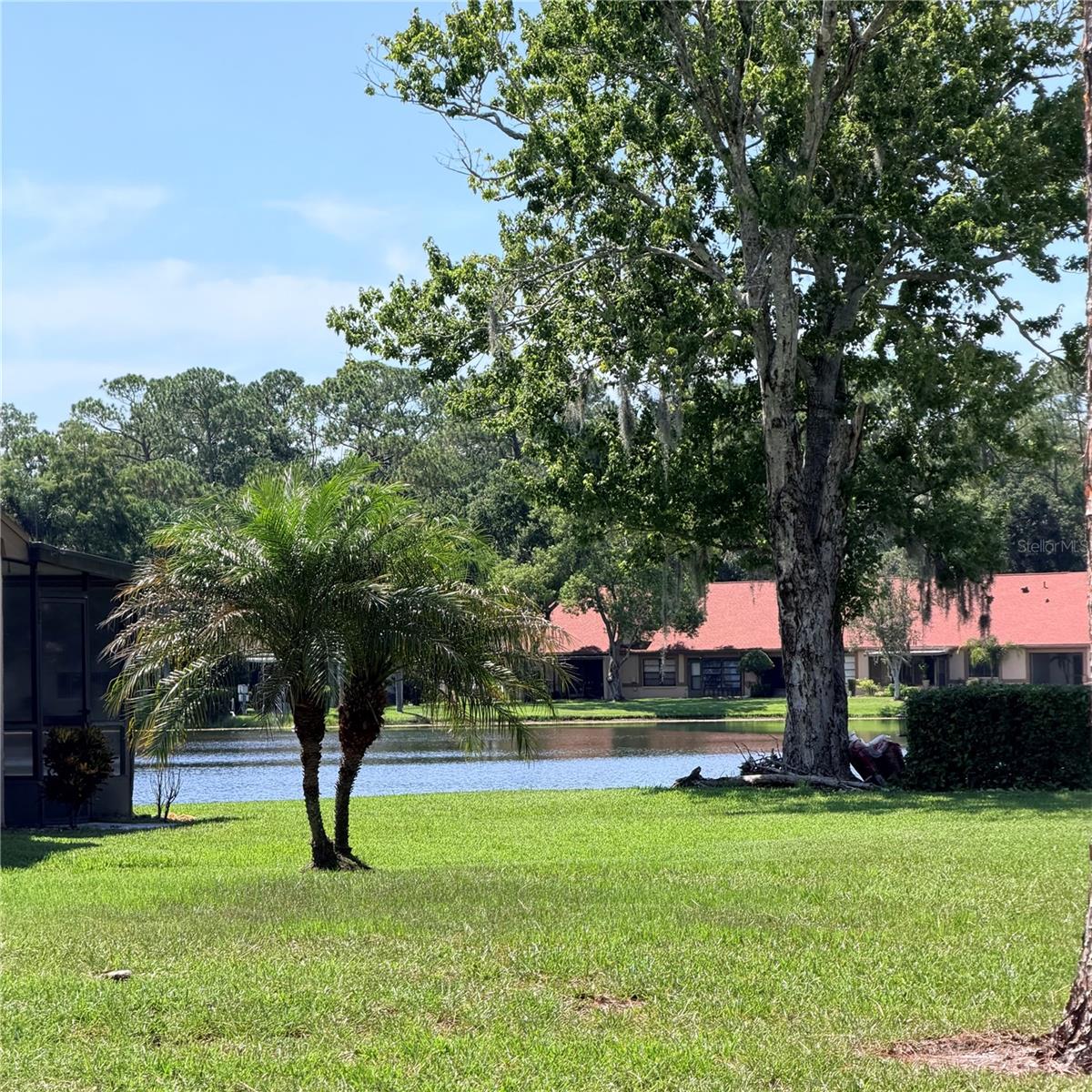 3409 Hill Moor, Palm Harbor, FL 34685
